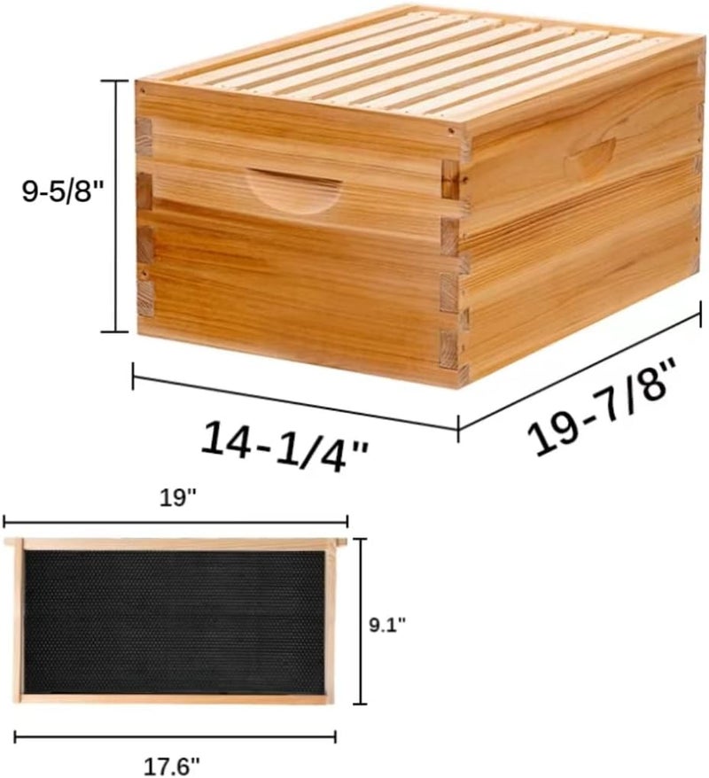 MayBee 8-Frame Beehive Box Langstroth Deep Brood Box Dipped in 100% Beeswax Includes Wooden Frames & Waxed Foundations (Unassembled) - Image 3